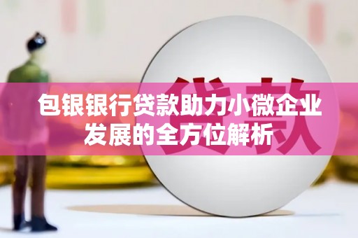 勐海包银银行贷款助力小微企业发展的全方位解析