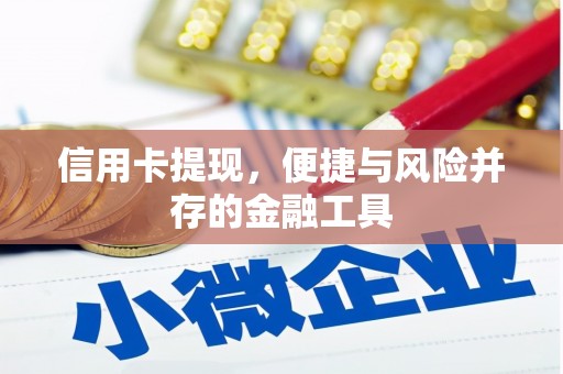 勐海信用卡提现，便捷与风险并存的金融工具