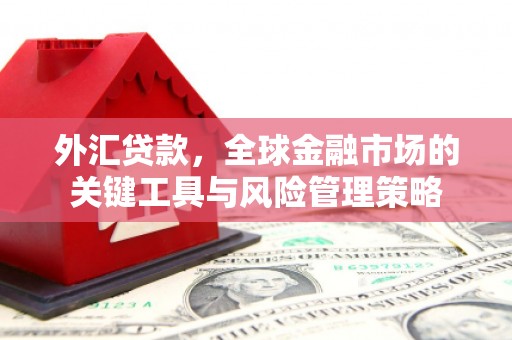 勐海外汇贷款，全球金融市场的关键工具与风险管理策略
