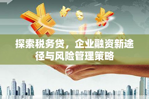 勐海探索税务贷，企业融资新途径与风险管理策略