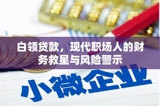 勐海白领贷款，现代职场人的财务救星与风险警示