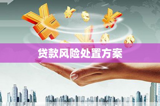 勐海贷款风险处置方案