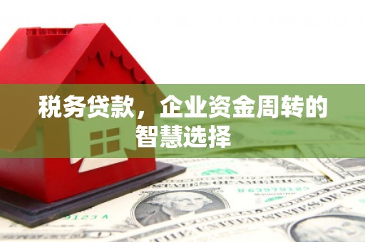 勐海税务贷款，企业资金周转的智慧选择