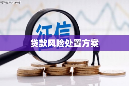 勐海贷款风险处置方案