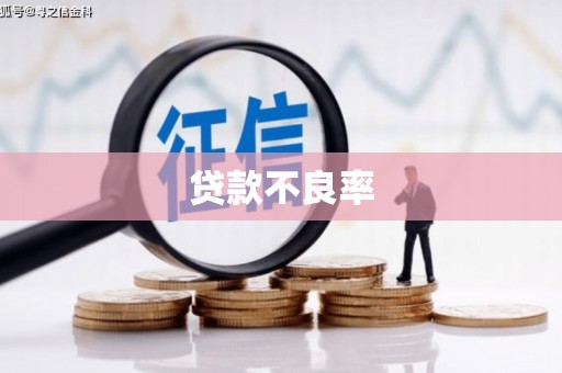 勐海贷款不良率