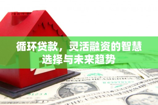 勐海循环贷款，灵活融资的智慧选择与未来趋势