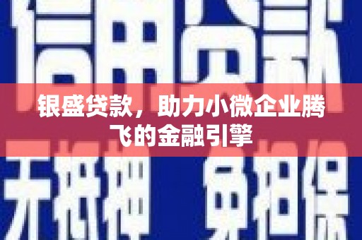 勐海银盛贷款，助力小微企业腾飞的金融引擎
