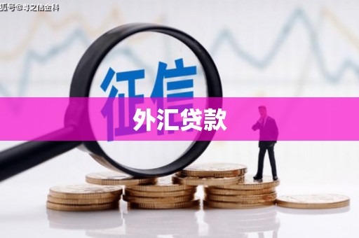 勐海外汇贷款