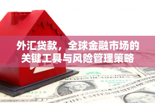 勐海外汇贷款，全球金融市场的关键工具与风险管理策略