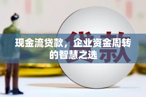 勐海现金流贷款，企业资金周转的智慧之选