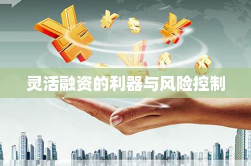 勐海灵活融资的利器与风险控制