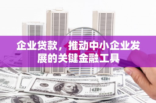 勐海企业贷款，推动中小企业发展的关键金融工具