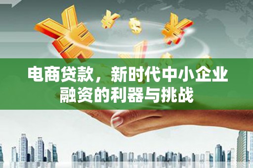 勐海电商贷款，新时代中小企业融资的利器与挑战