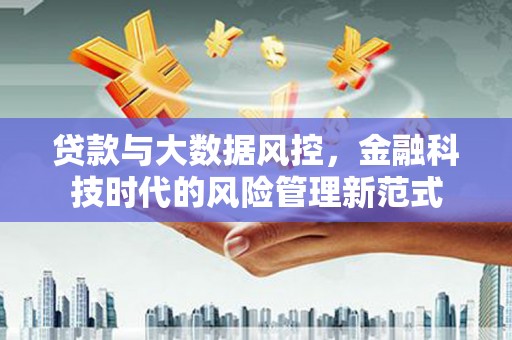 勐海贷款与大数据风控，金融科技时代的风险管理新范式