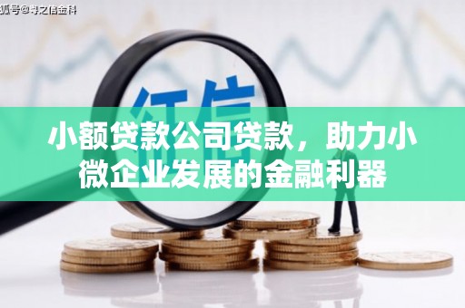 勐海小额贷款公司贷款，助力小微企业发展的金融利器