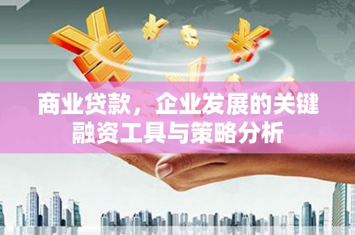 勐海商业贷款，企业发展的关键融资工具与策略分析