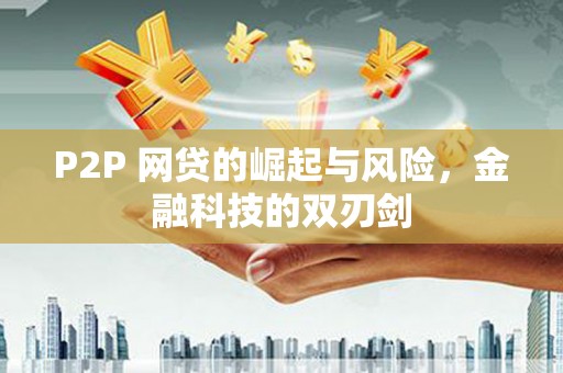 勐海P2P 网贷的崛起与风险，金融科技的双刃剑