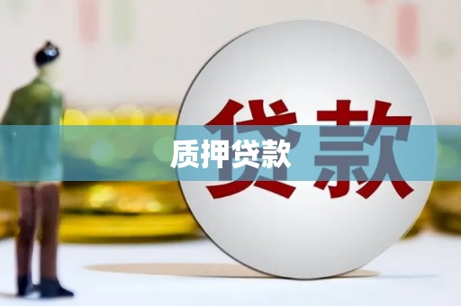 勐海质押贷款