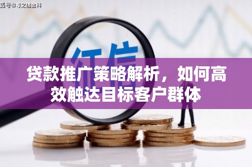 勐海贷款推广策略解析，如何高效触达目标客户群体