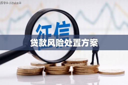 勐海贷款风险处置方案