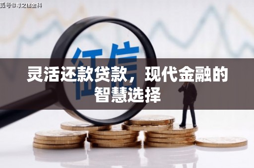 勐海灵活还款贷款，现代金融的智慧选择