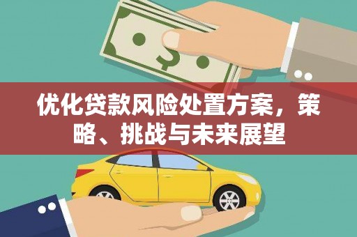 勐海优化贷款风险处置方案，策略、挑战与未来展望