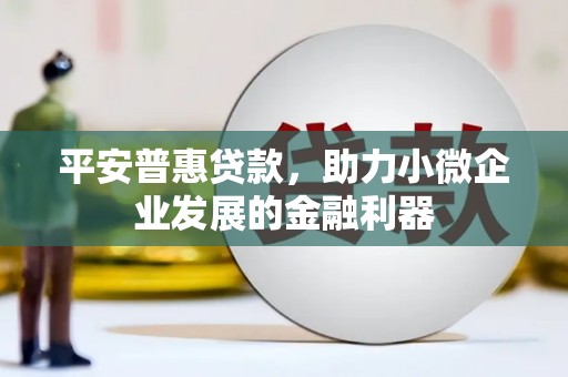 勐海平安普惠贷款，助力小微企业发展的金融利器
