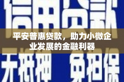 勐海平安普惠贷款，助力小微企业发展的金融利器