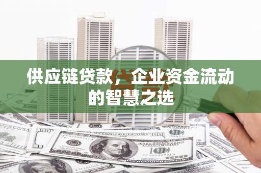 勐海供应链贷款，企业资金流动的智慧之选