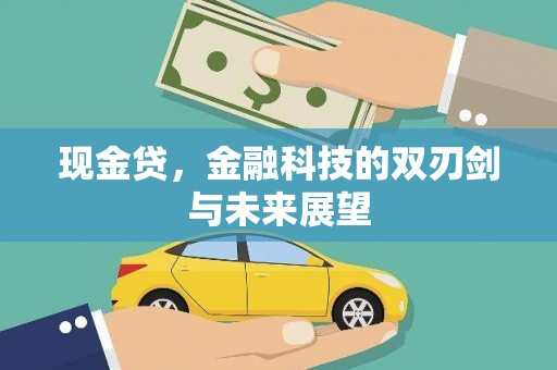 勐海现金贷，金融科技的双刃剑与未来展望