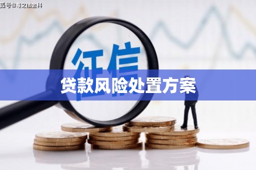 勐海贷款风险处置方案