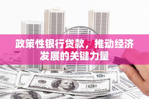 勐海政策性银行贷款，推动经济发展的关键力量