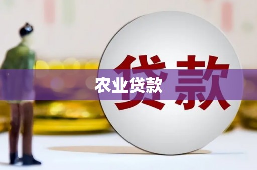勐海农业贷款