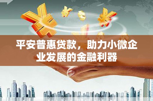 勐海平安普惠贷款，助力小微企业发展的金融利器