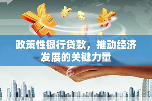 勐海政策性银行贷款，推动经济发展的关键力量