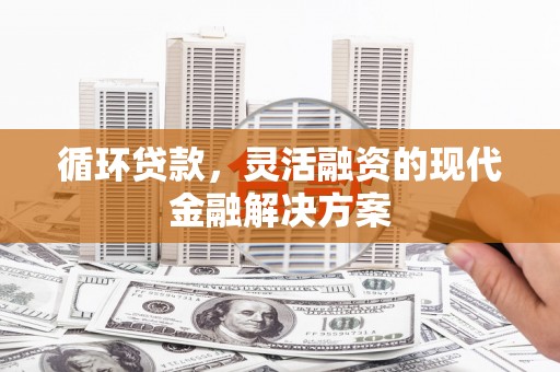 勐海循环贷款，灵活融资的现代金融解决方案