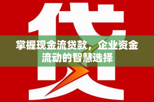 勐海掌握现金流贷款，企业资金流动的智慧选择