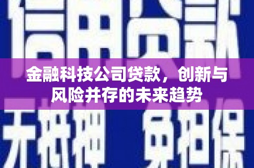 勐海金融科技公司贷款，创新与风险并存的未来趋势