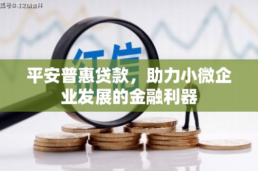 勐海平安普惠贷款，助力小微企业发展的金融利器