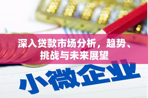 勐海深入贷款市场分析，趋势、挑战与未来展望