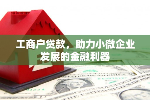 勐海工商户贷款，助力小微企业发展的金融利器