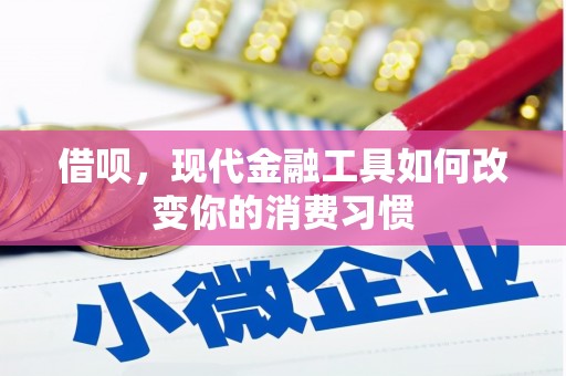 勐海借呗，现代金融工具如何改变你的消费习惯