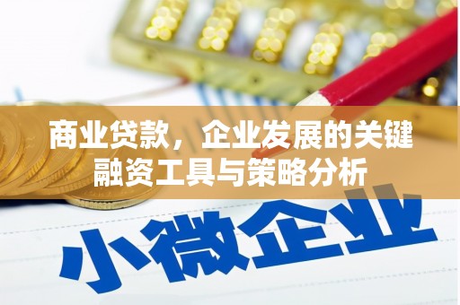 勐海商业贷款，企业发展的关键融资工具与策略分析