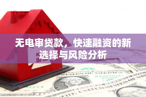 勐海无电审贷款，快速融资的新选择与风险分析