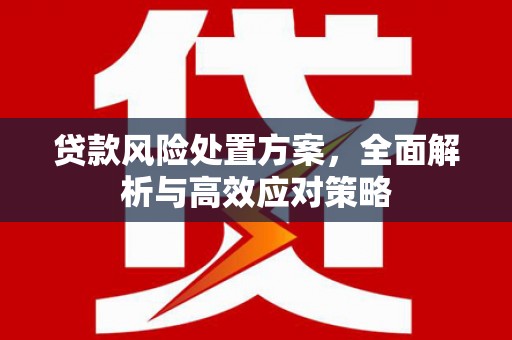 勐海贷款风险处置方案，全面解析与高效应对策略