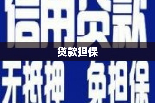 勐海贷款担保