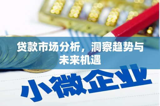 勐海贷款市场分析，洞察趋势与未来机遇