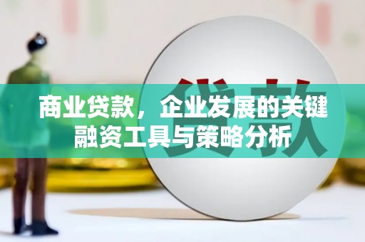 勐海商业贷款，企业发展的关键融资工具与策略分析