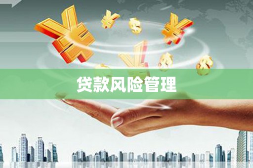 勐海贷款风险管理