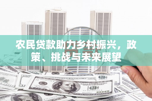 勐海农民贷款助力乡村振兴，政策、挑战与未来展望